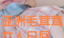 日屁视频,一场视觉与文化的碰撞之旅