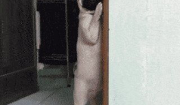 很黄很黄视频,一场视觉与道德的碰撞